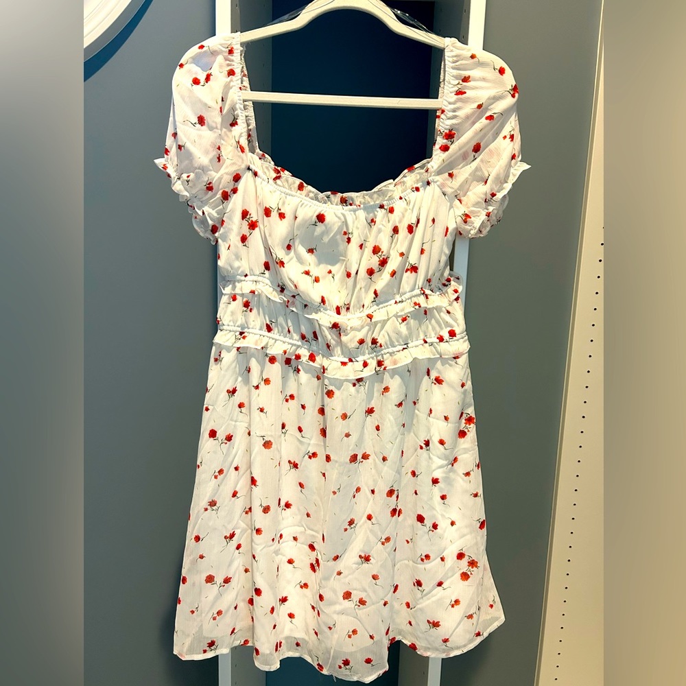 NWT Rixxi dress. White w/red floral pattern. Sz large. Lined. Sheer sleeves.